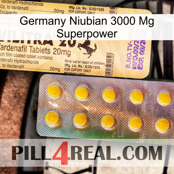 Germany Niubian 3000 Mg Superpower new06.jpg